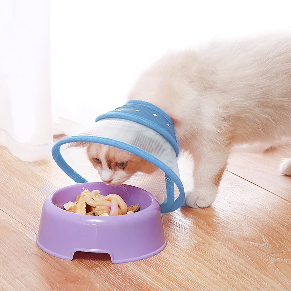 Blue Dog Recovery Cone V90072