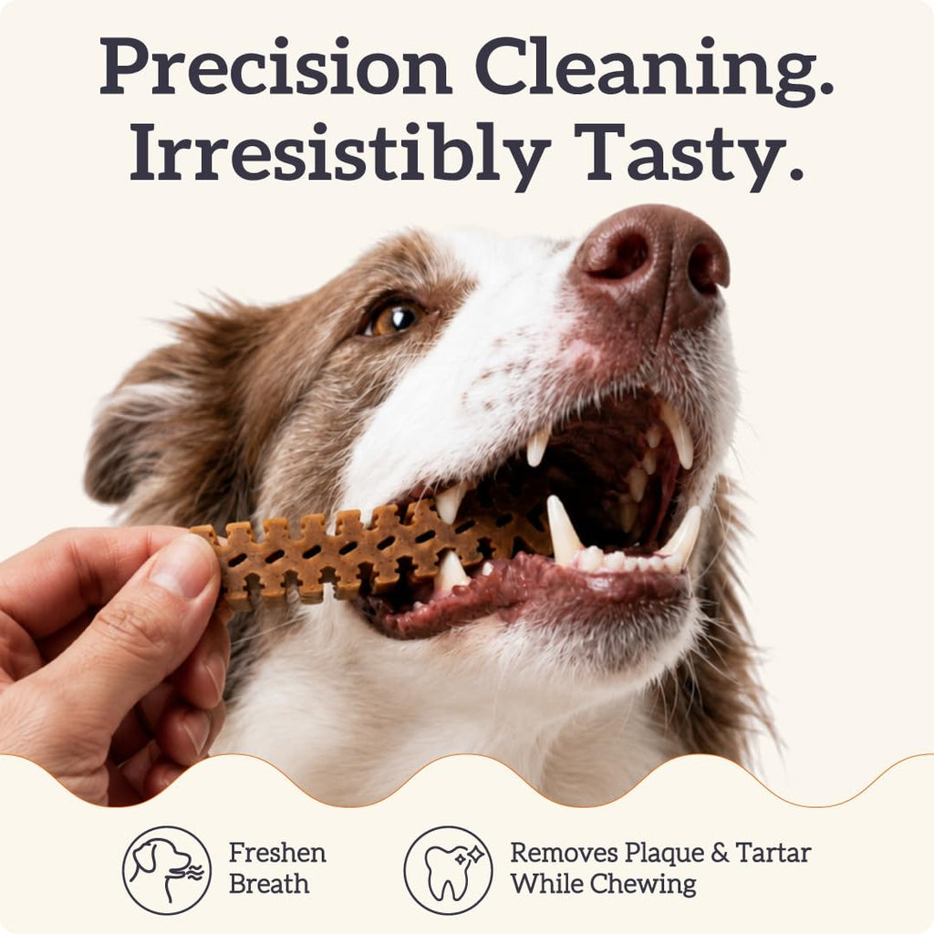 Small Flexible Dog Dental Chews 22Ct S409788