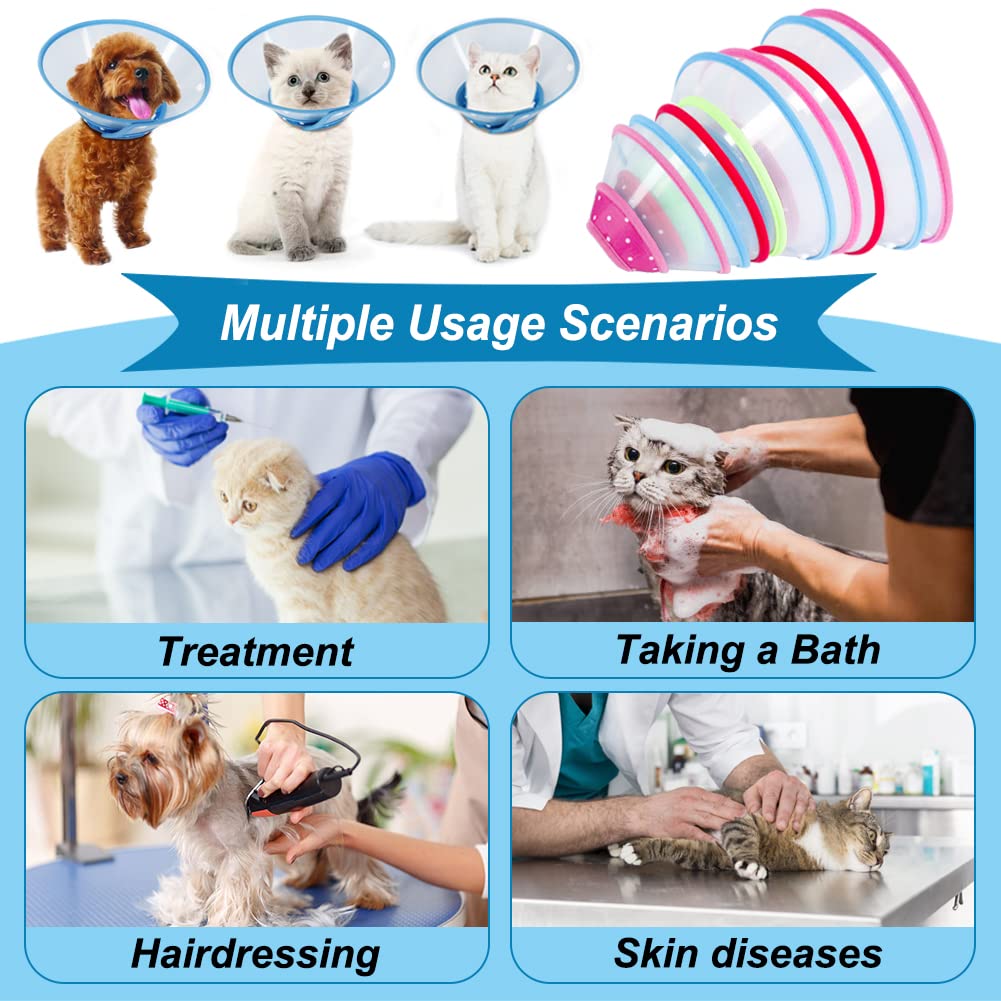 Blue Dog Recovery Cone V90072