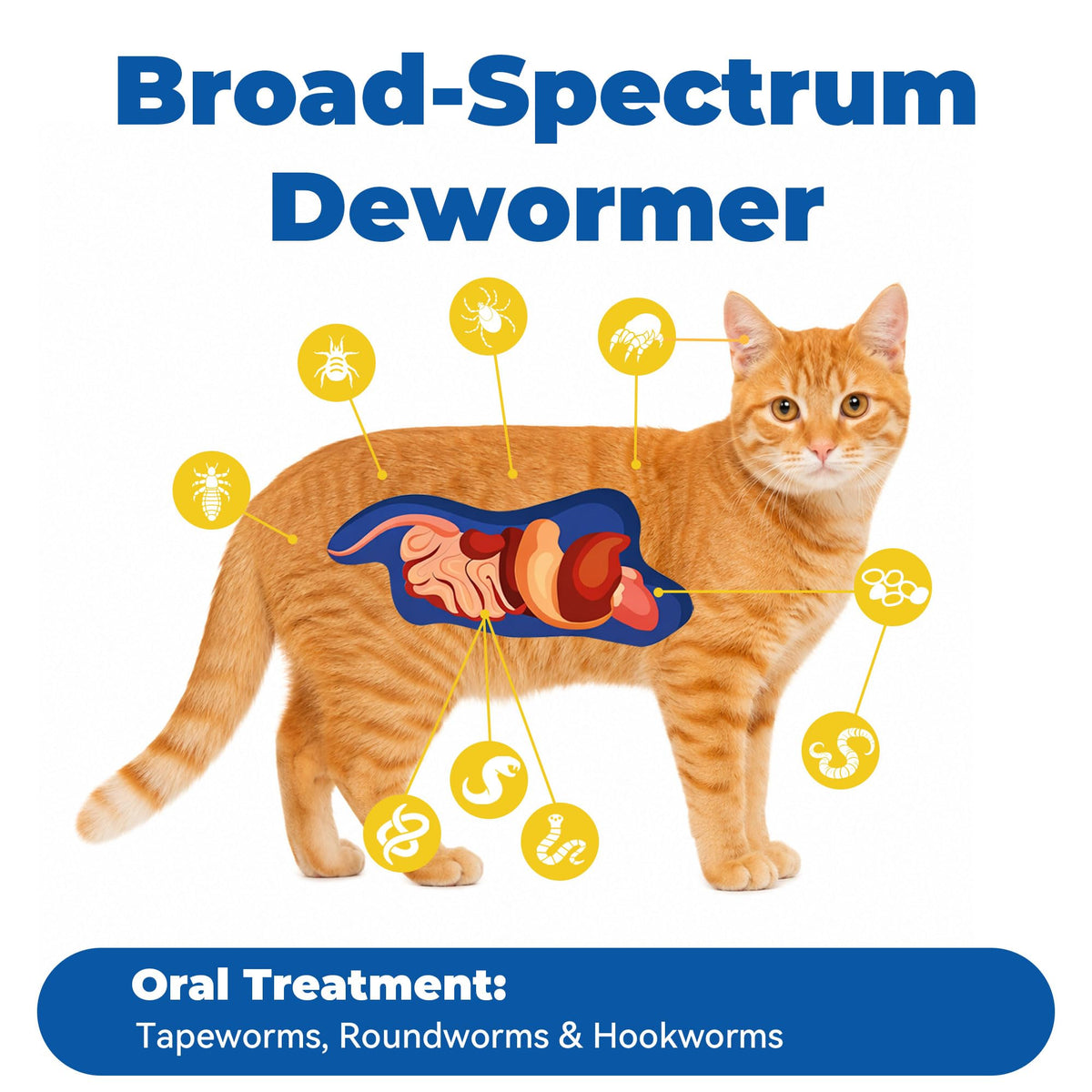 7 Way Broad-Spectrum De-Wormer Chewable Tablets for Dogs & Cat, Pyrantel Pamoate and Praziquantel Formula for Cats and Kittens 2-16 Ibs,50 Count Y462
