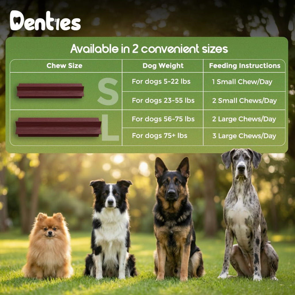 Dental Chews for Small Dogs 16 oz 35 Treats L89846