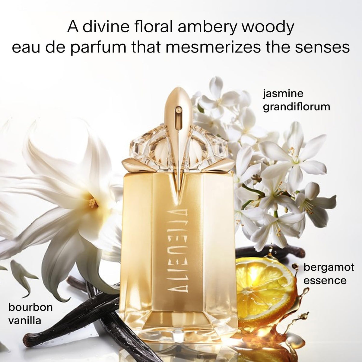 Floral Eau de Parfum H763