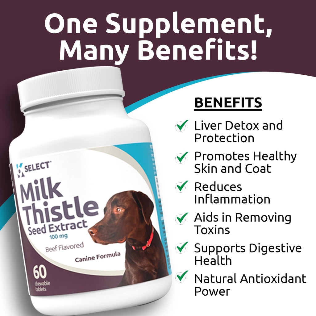 Milk Thistle Liver Support 60 Beef Chewable Tablets W653