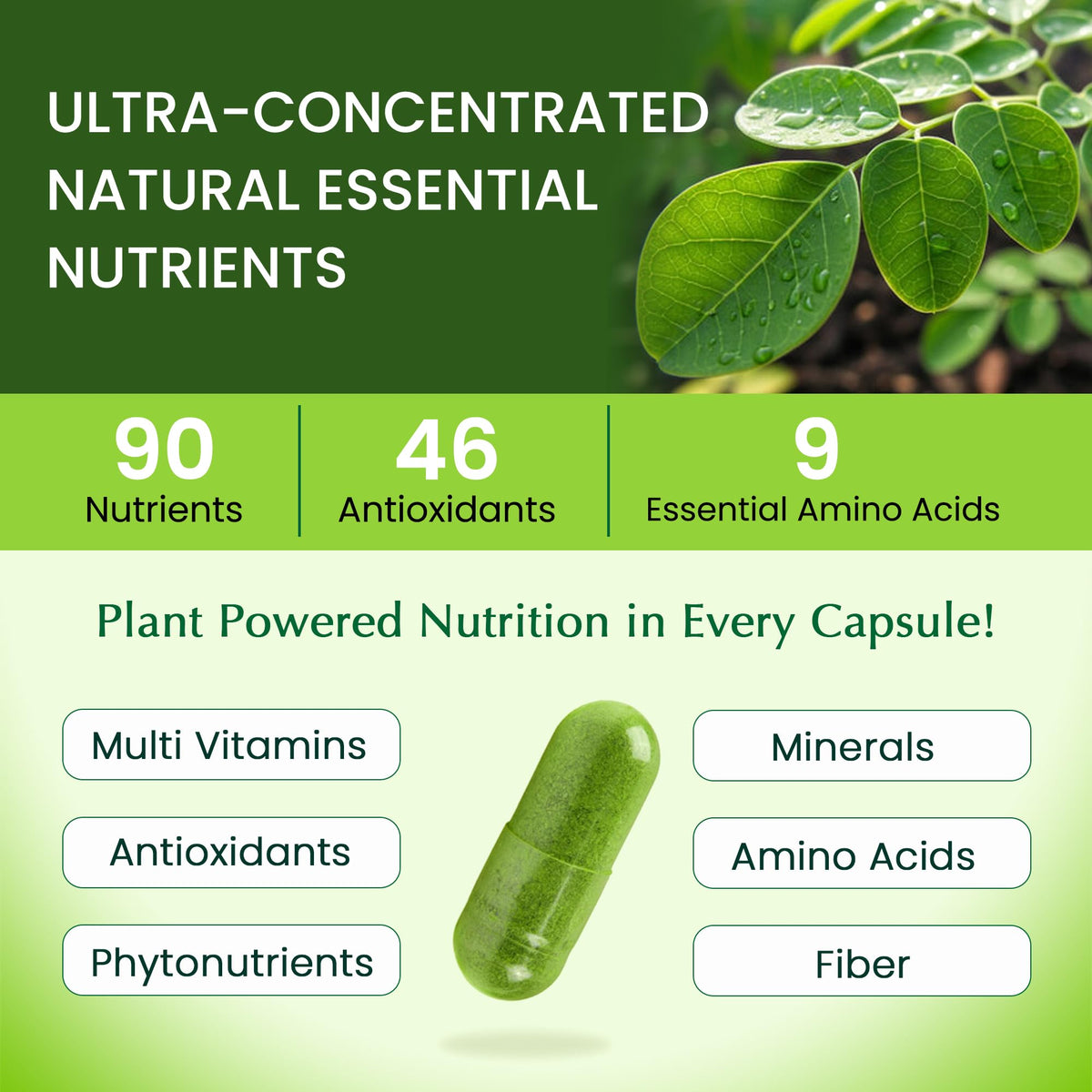 1000mg Organic Moringa Capsule 120 Vegan Capsule B567