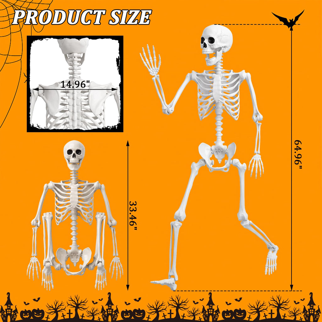 Life Size Human Skeleton with Posable Joint B689167