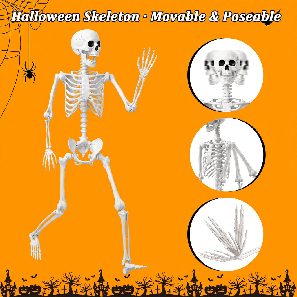 Life Size Human Skeleton with Posable Joint B689167