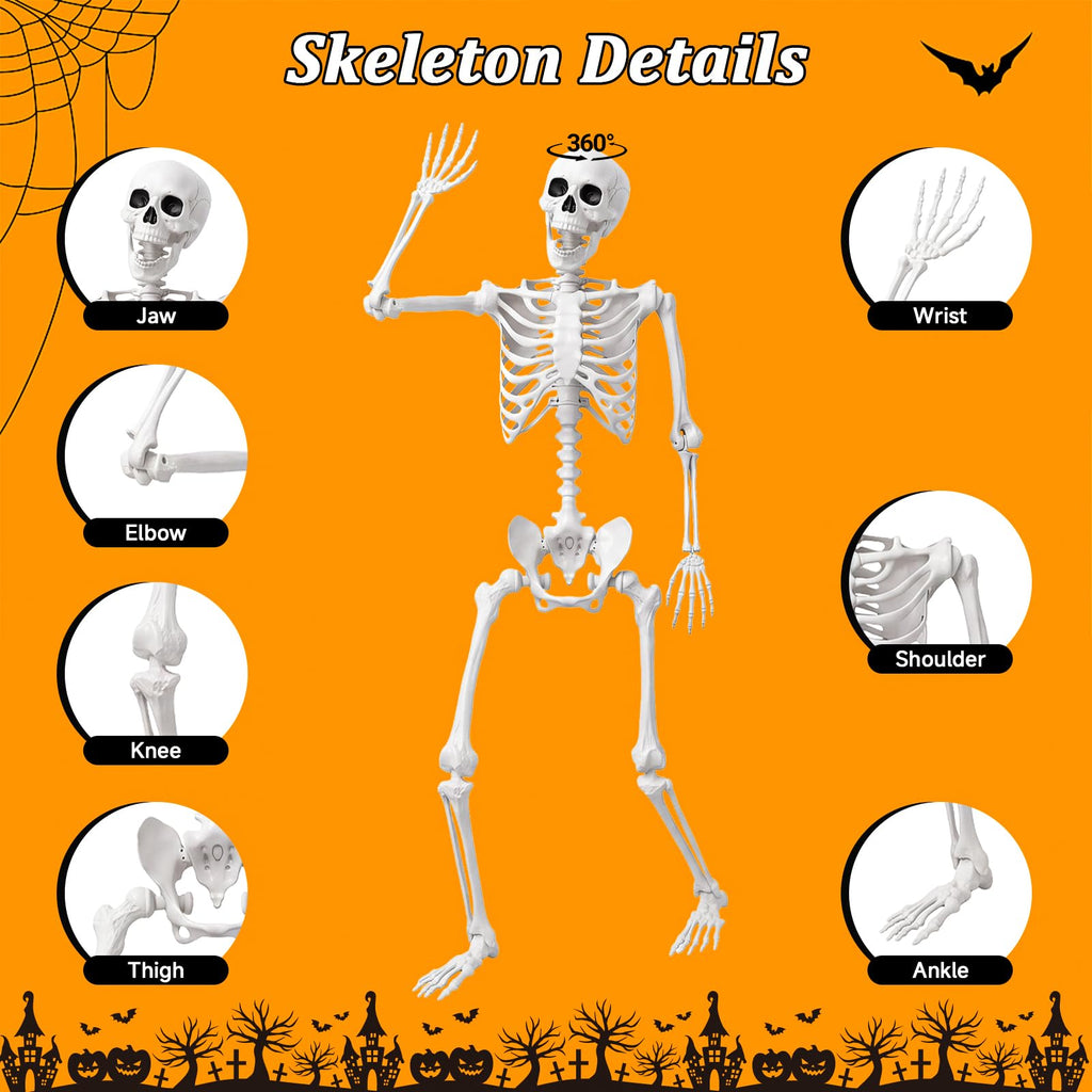 Life Size Human Skeleton with Posable Joint B689167