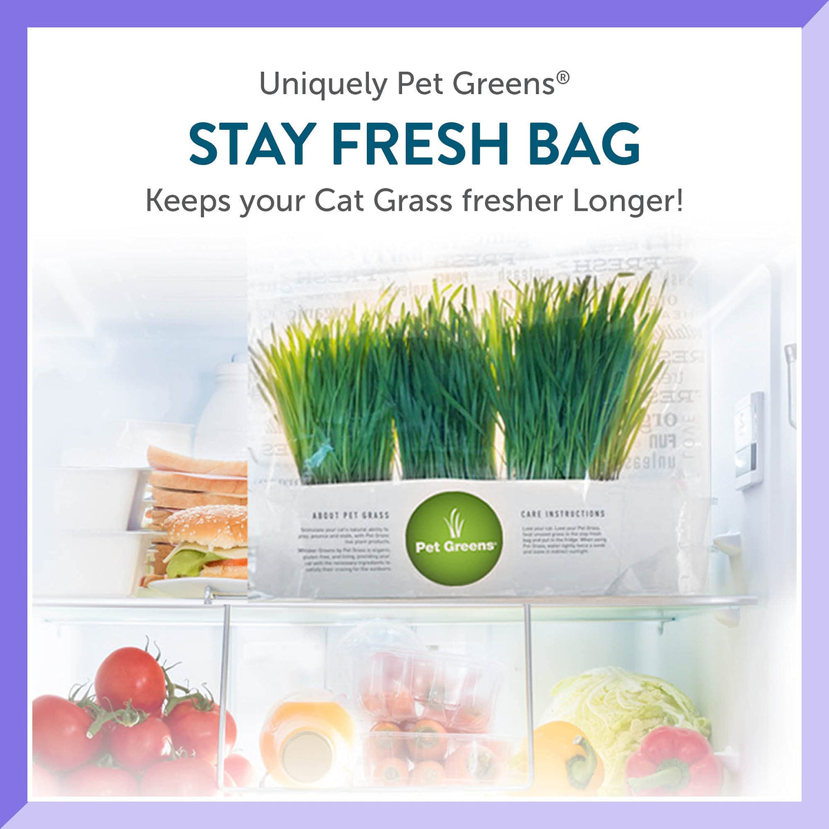 Organic Cat Grass 3-Pack D632