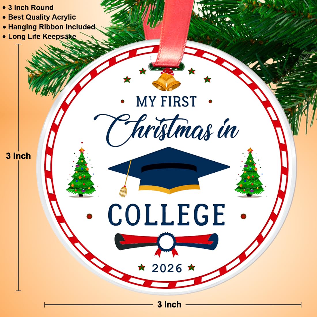 2026 Christmas Ornament I360553