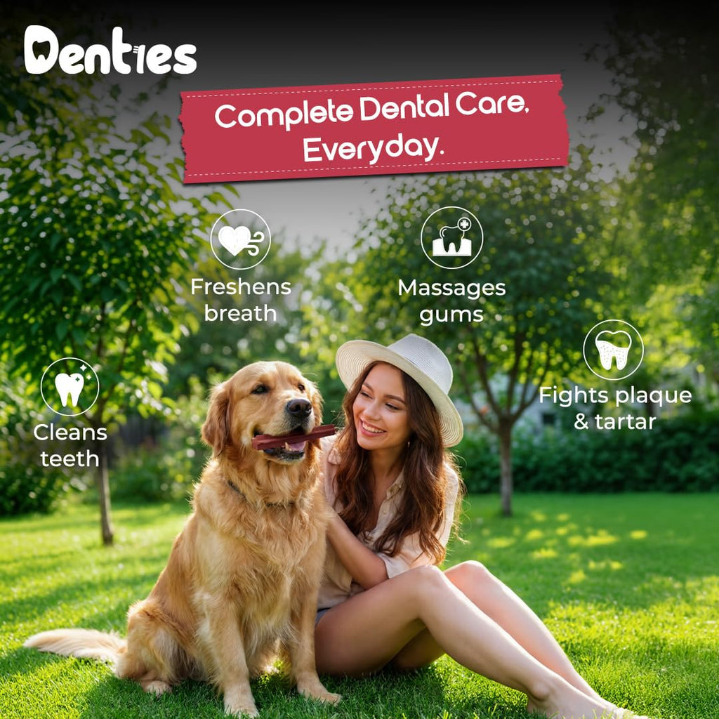 Dental Chews for Small Dogs 16 oz 35 Treats L89846