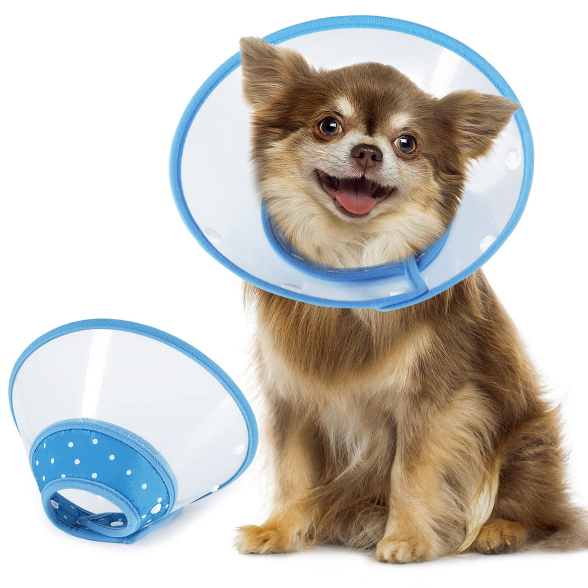 Blue Dog Recovery Cone V90072