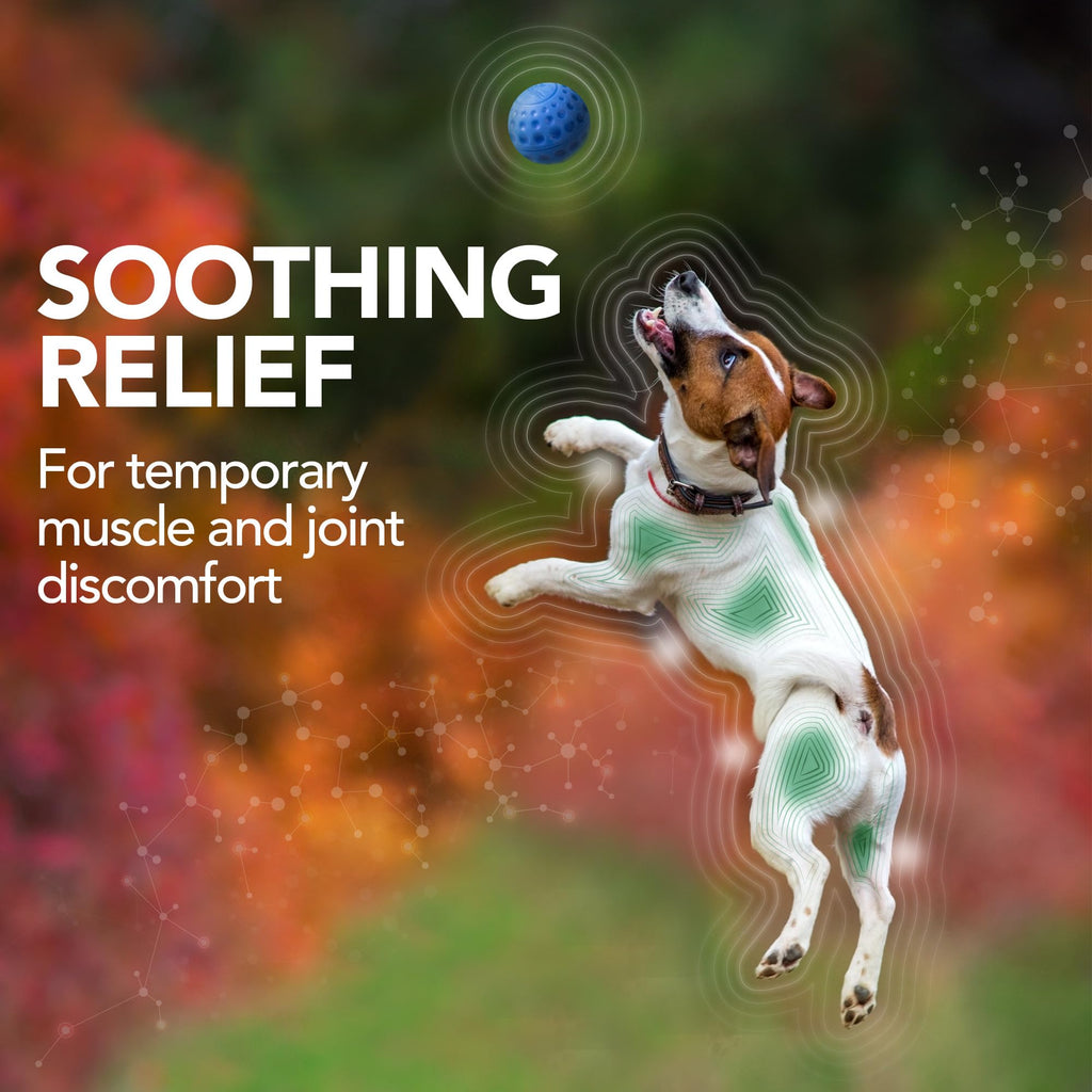 Dog Hip & Joint Support Tablets 150 Count Pack of 2 P501