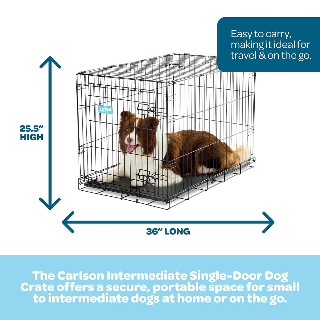36" Foldable Metal Dog Crate with Removable Tray W7663