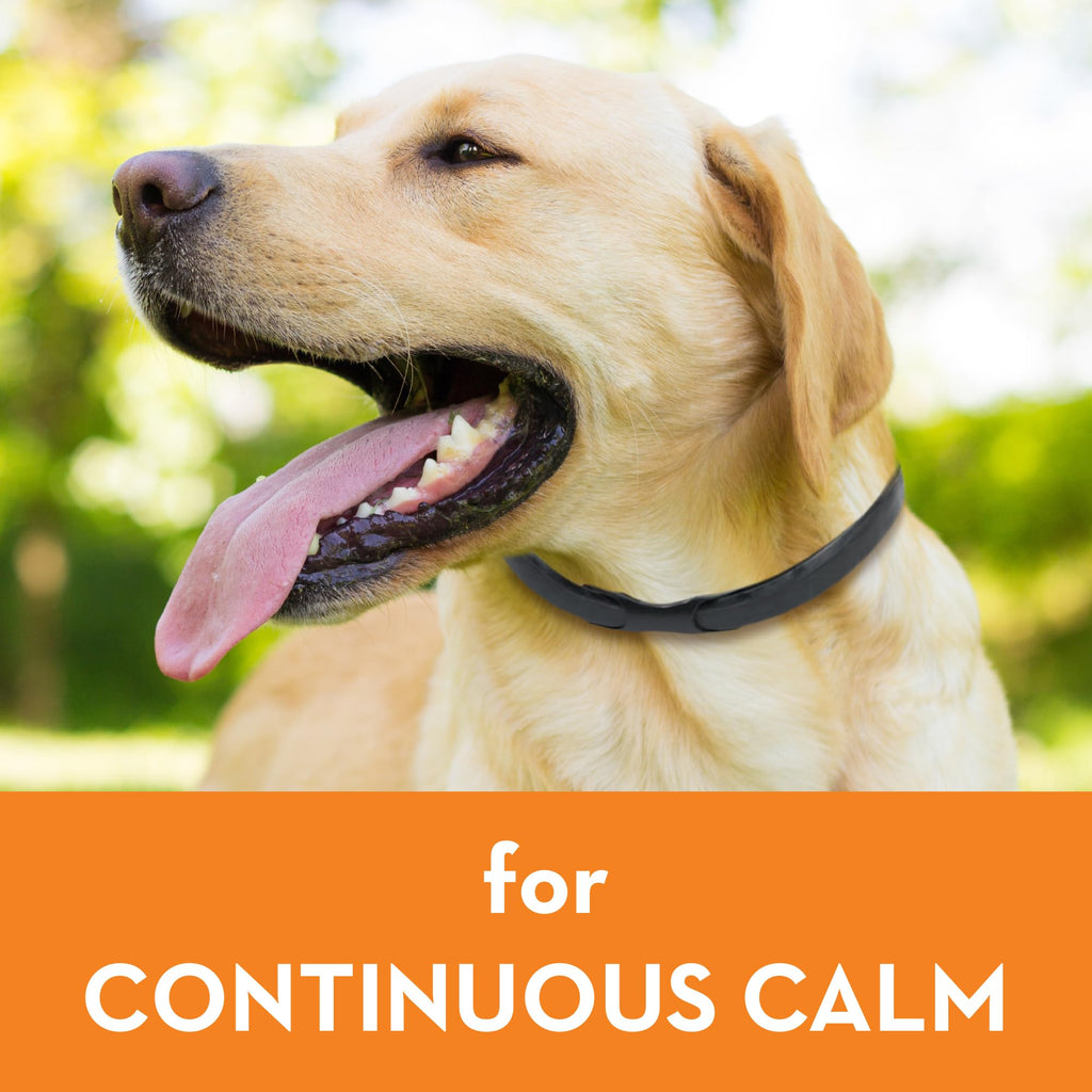 Calming Collar for Dogs (Large) M3836