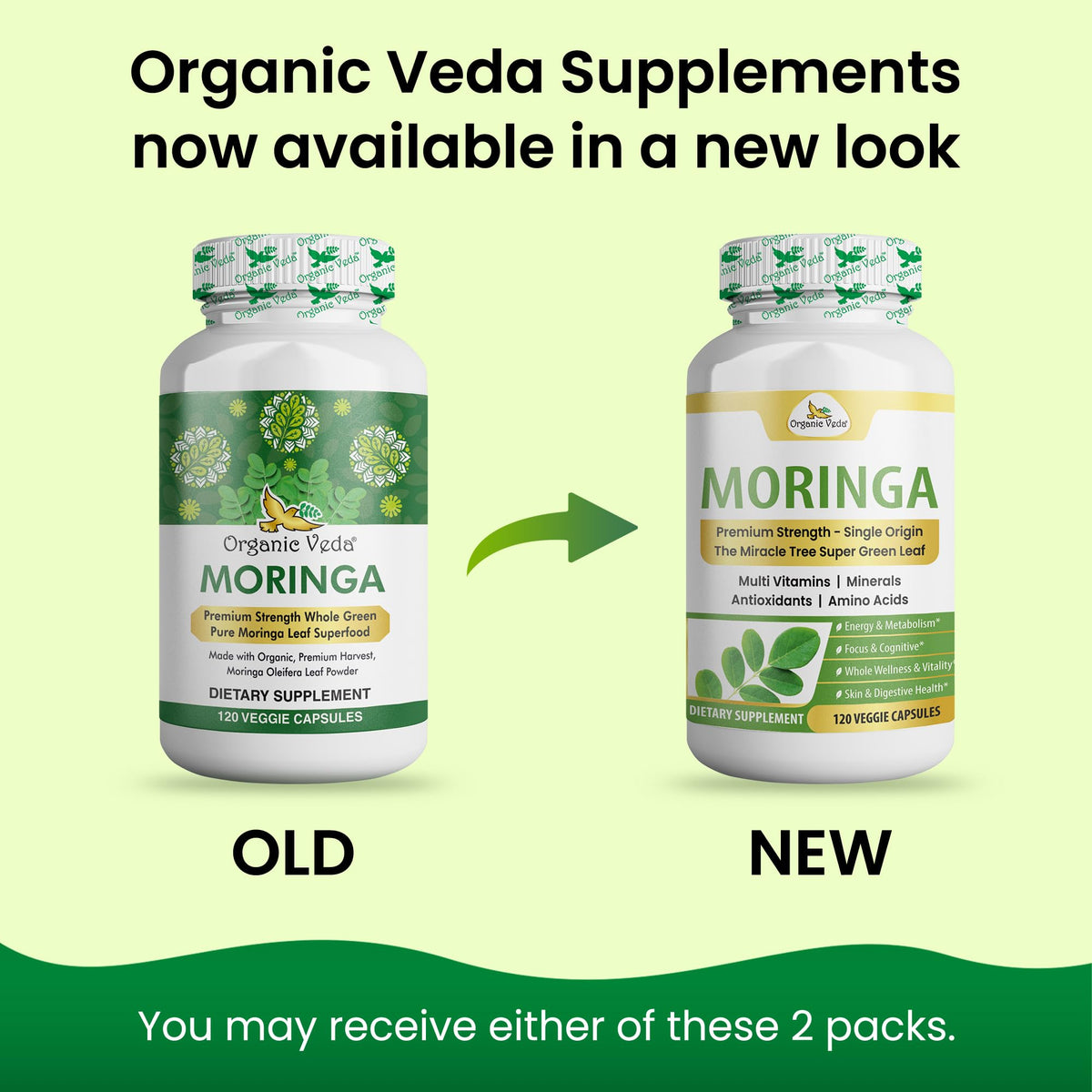 1000mg Organic Moringa Capsule 120 Vegan Capsule B567