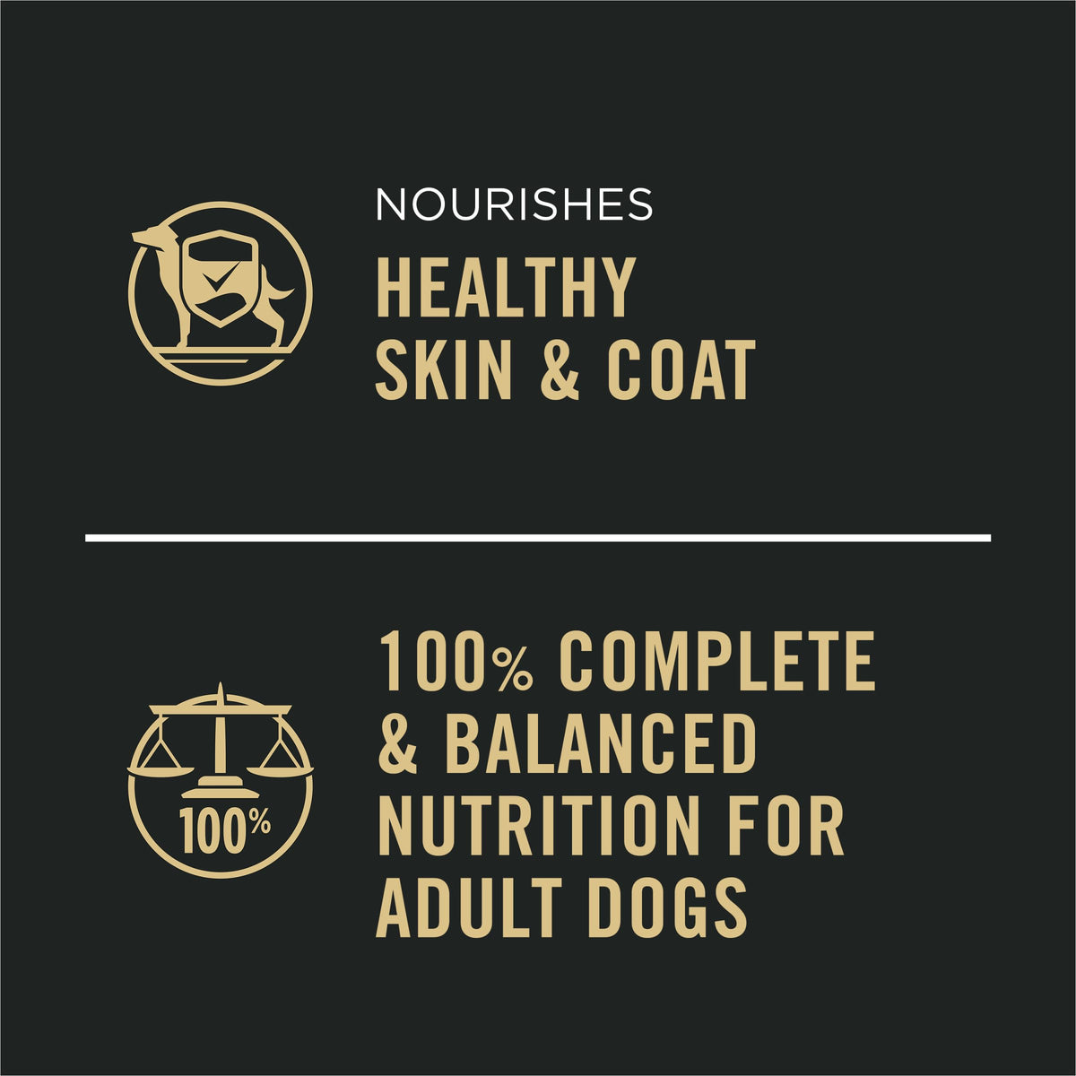 Wet Dog Food Variety Pack 13 oz F701170