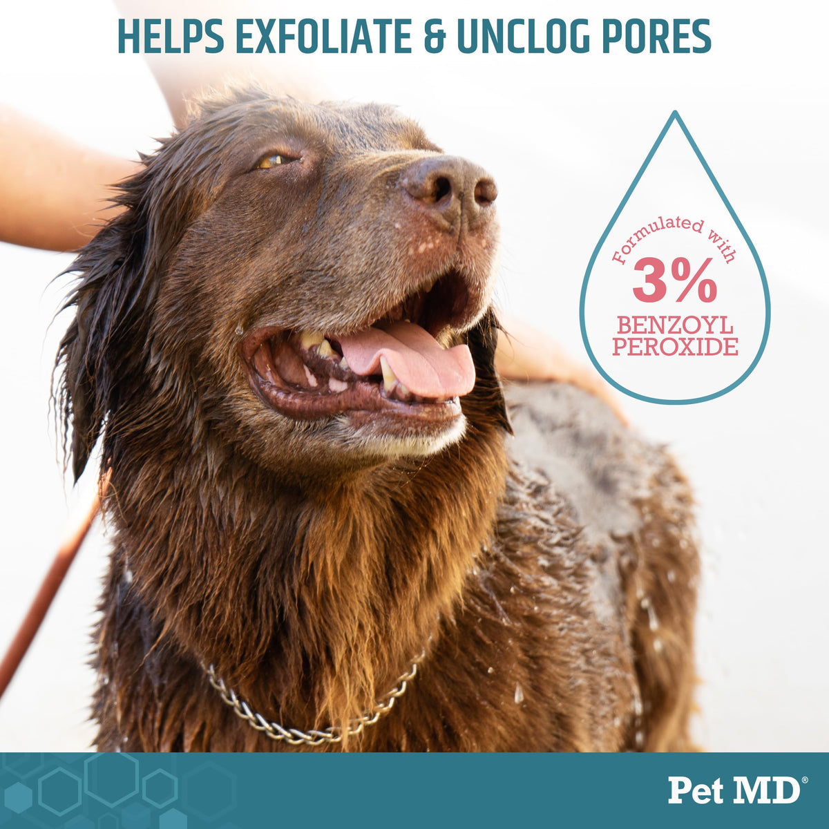 Benzoyl Peroxide Shampoo for Dogs, Cats, and Horses 12oz J773093