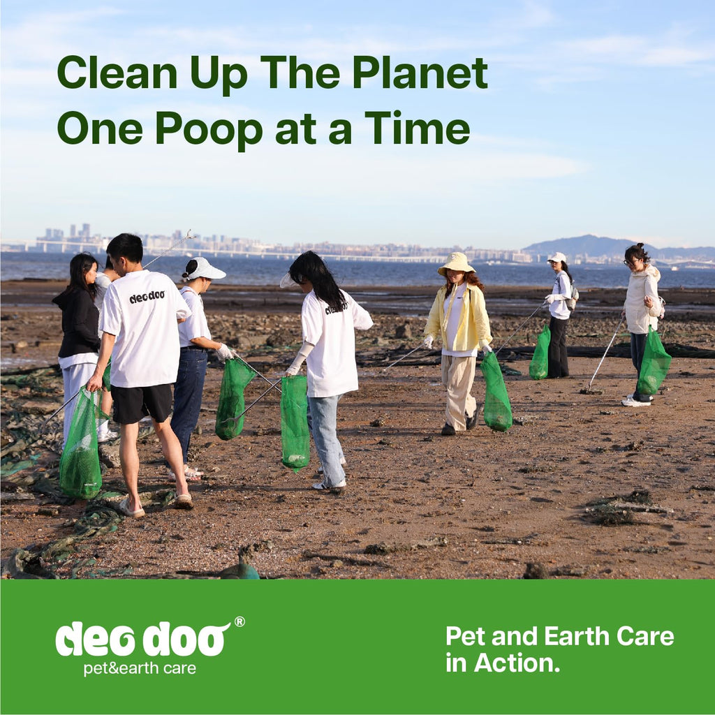 Dog Poop Bags with Handles, Large Size, 240 Bags, Unscented O718981