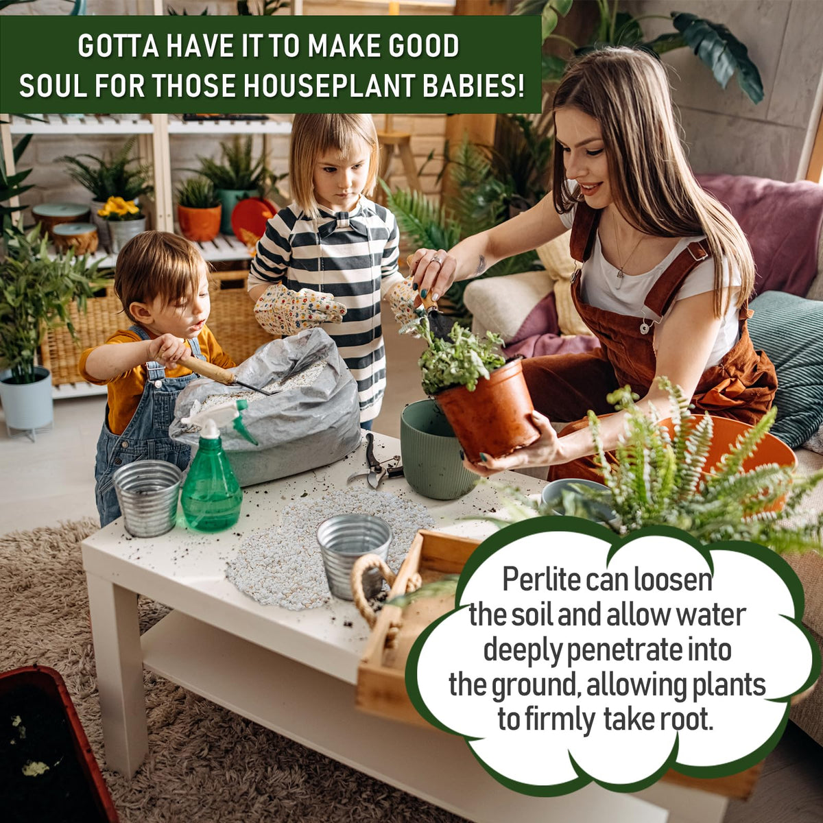 10QT Horticultural Perlite Q273