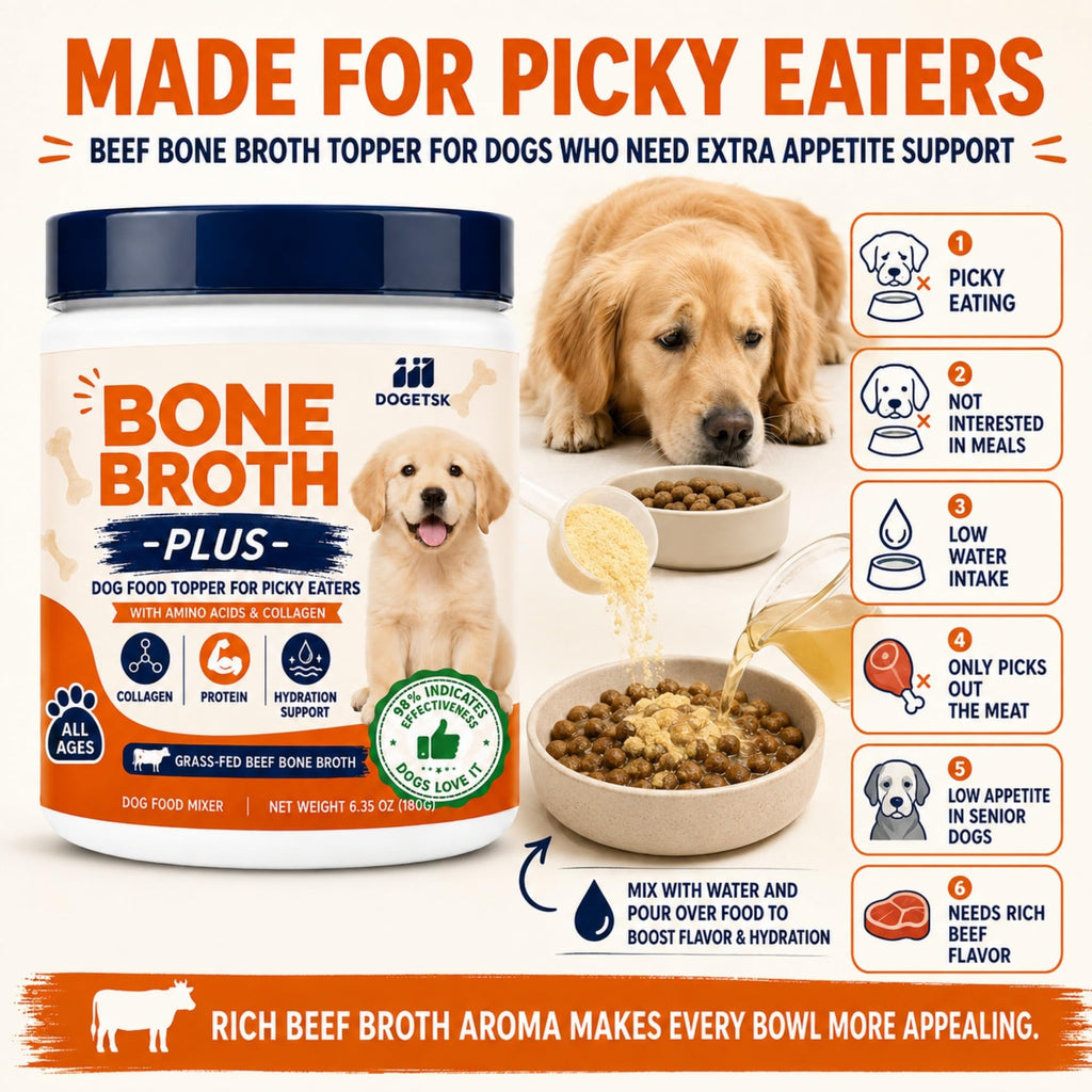 Beef Bone Soup Dog Supplement with Collagen and Protein Z198857
