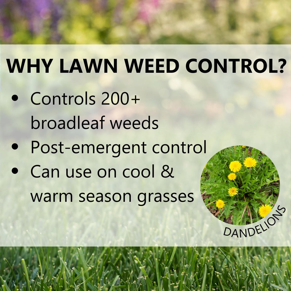 Post Emergent Weed Killer 15,000 Sq Ft E83593