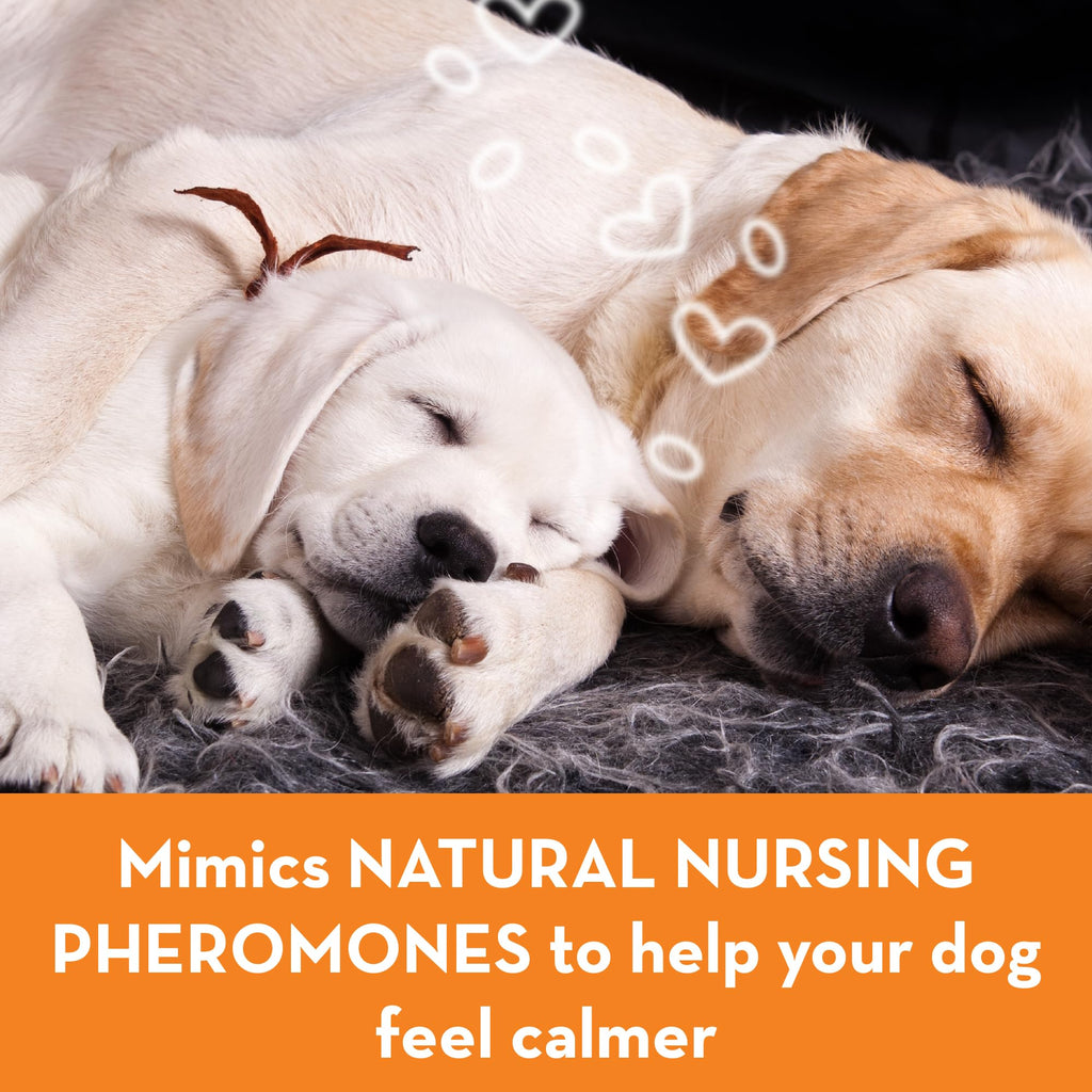 Calming Collar for Dogs (Large) M3836