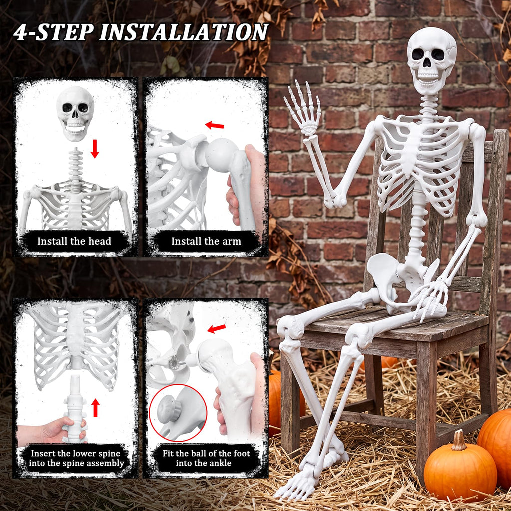 Life Size Human Skeleton with Posable Joint B689167