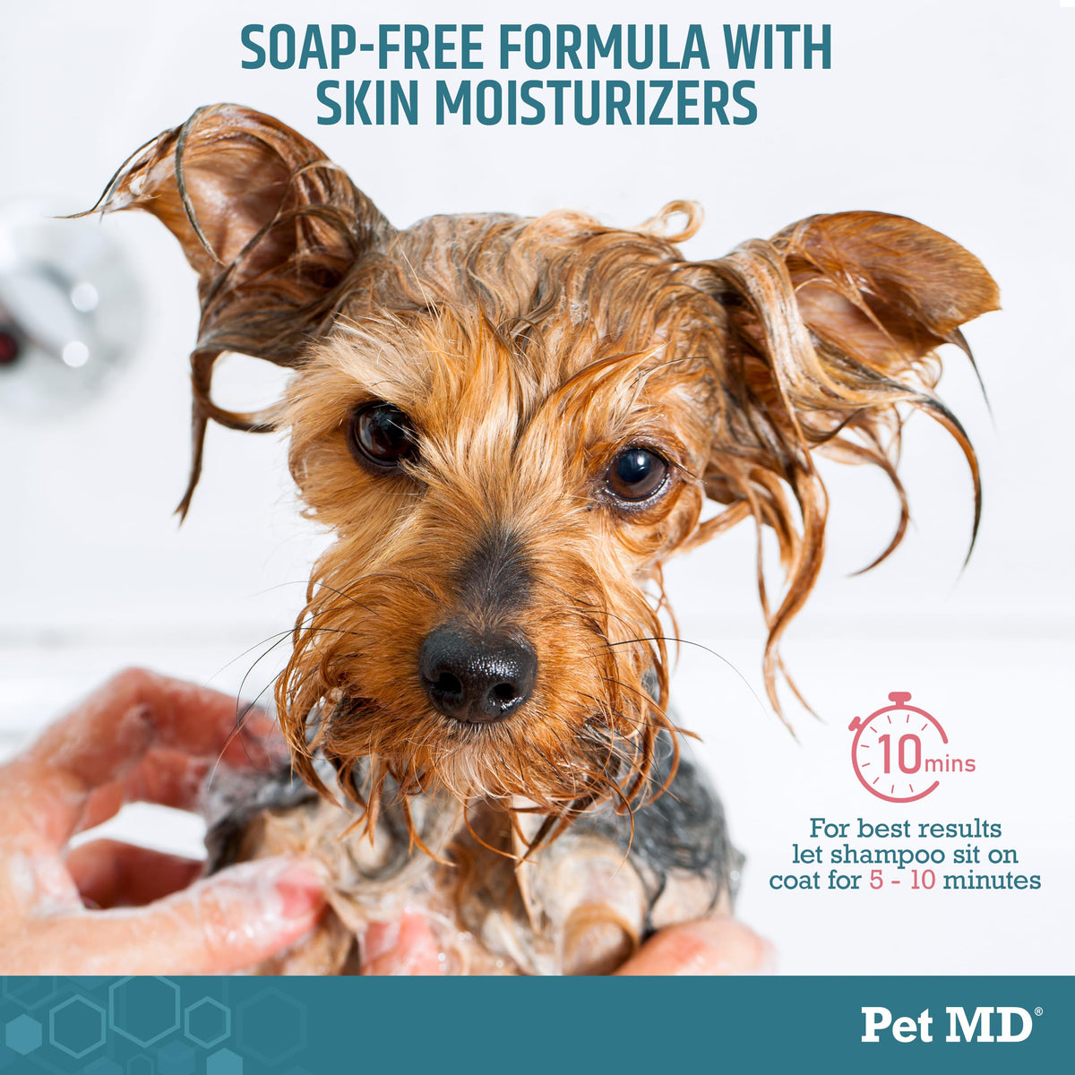 Benzoyl Peroxide Shampoo for Dogs, Cats, and Horses 12oz J773093
