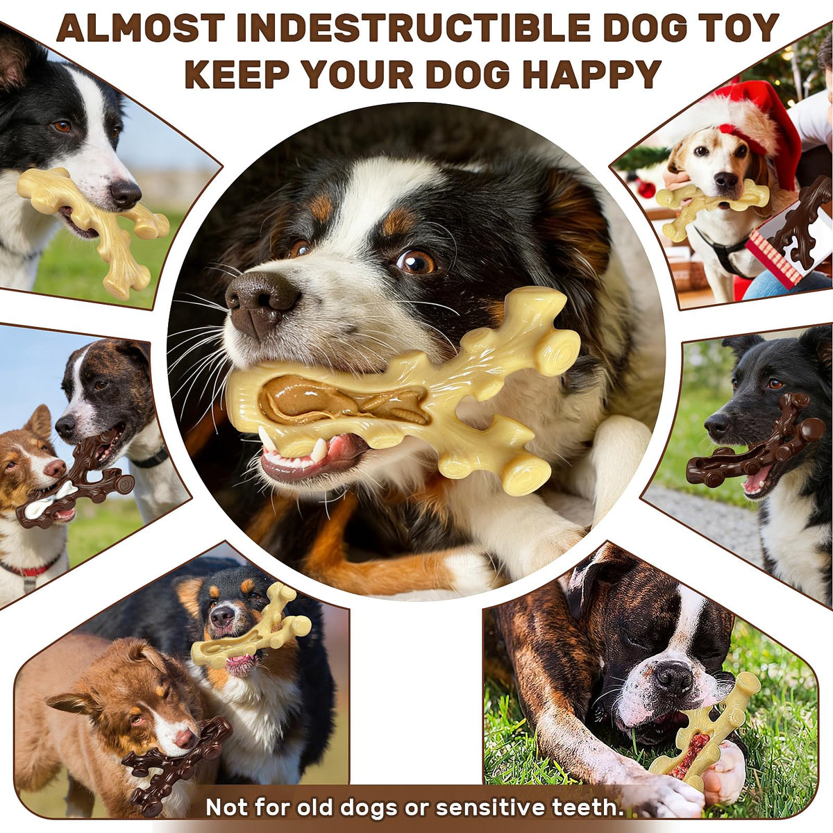 2 Pack Dog Chew Toys for Medium Large Breed T96980