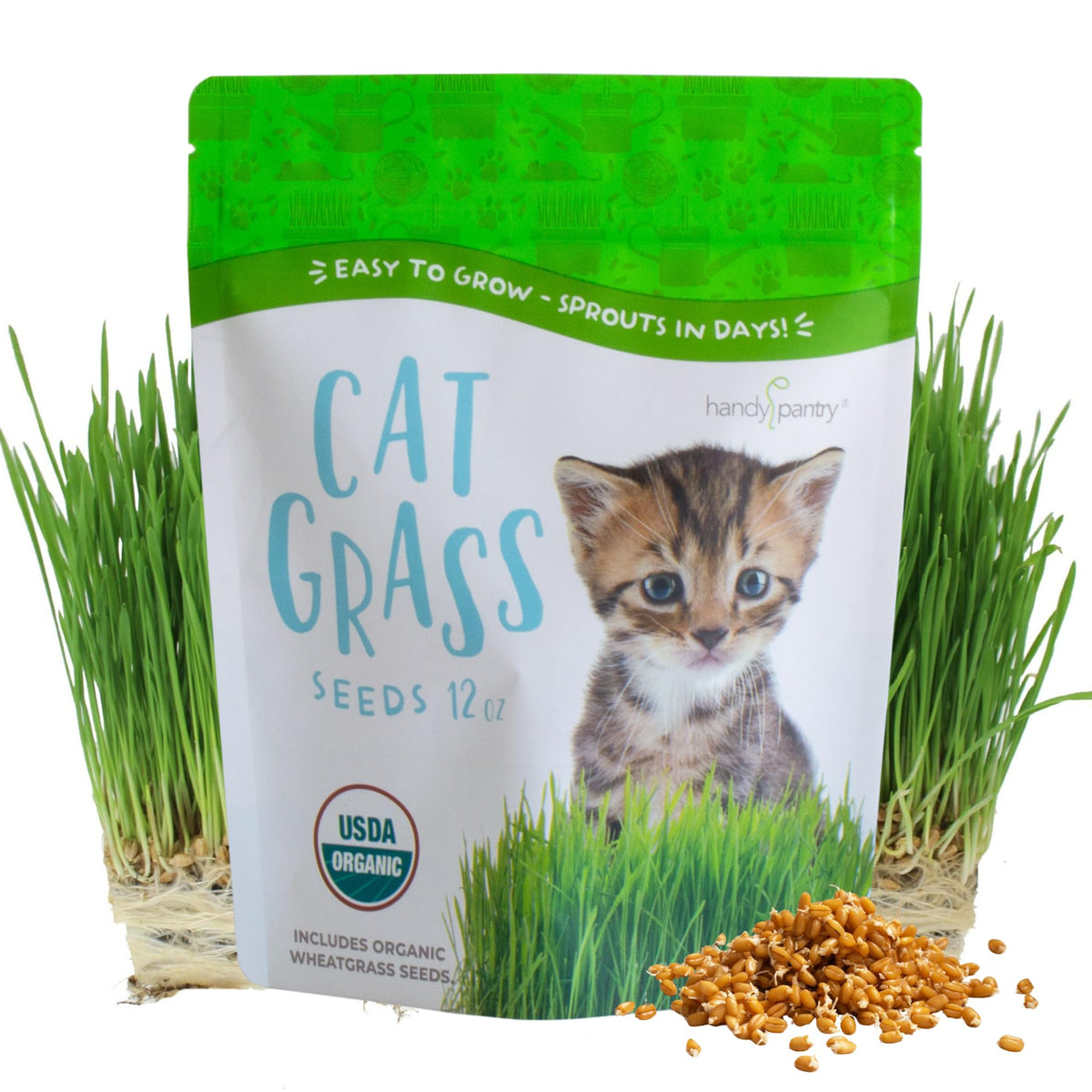 Organic Cat Grass Seed 12 oz Non-GMO Wheatgrass Seeds D5287