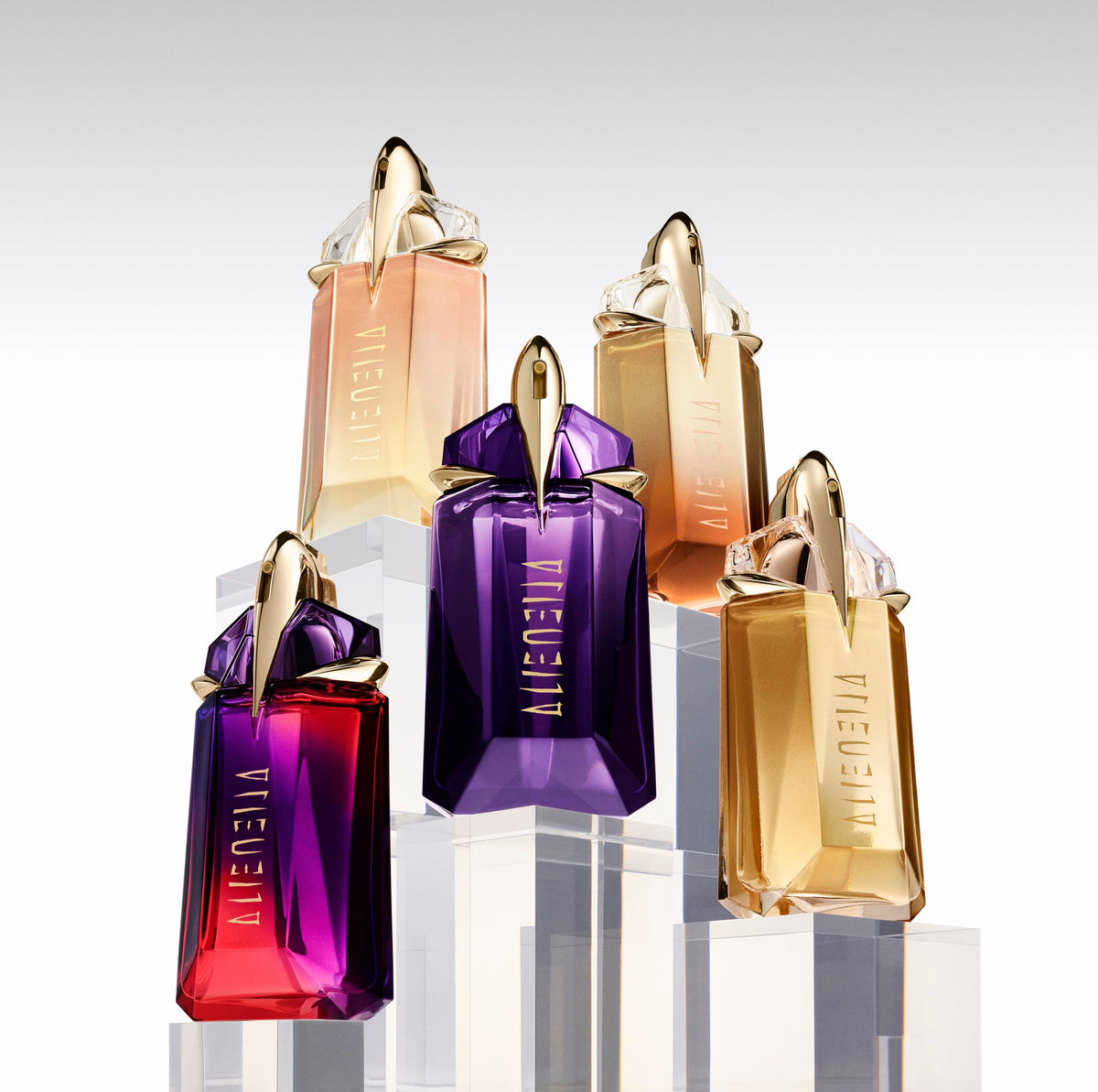 Floral Eau de Parfum H763