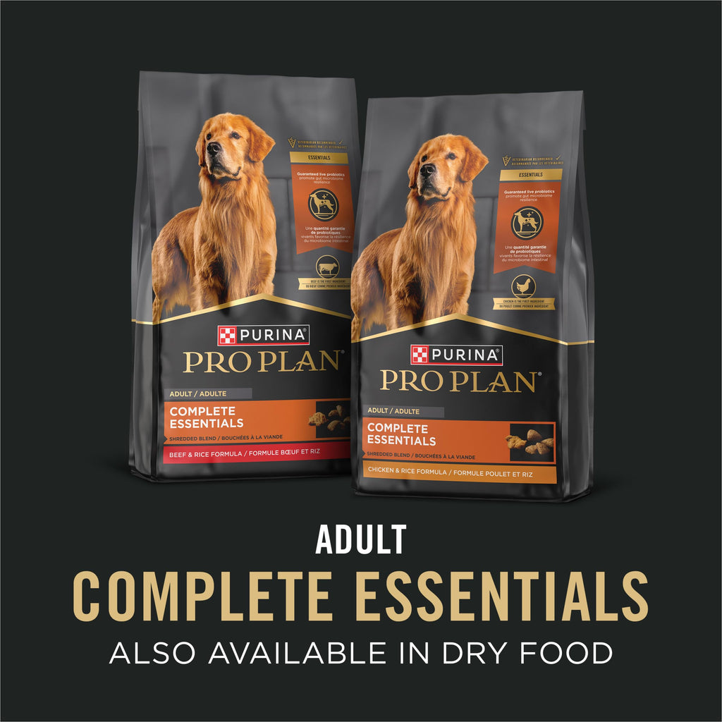 Wet Dog Food Variety Pack 13 oz F701170