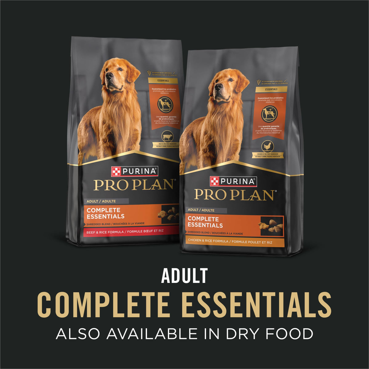 Wet Dog Food Variety Pack 13 oz F701170