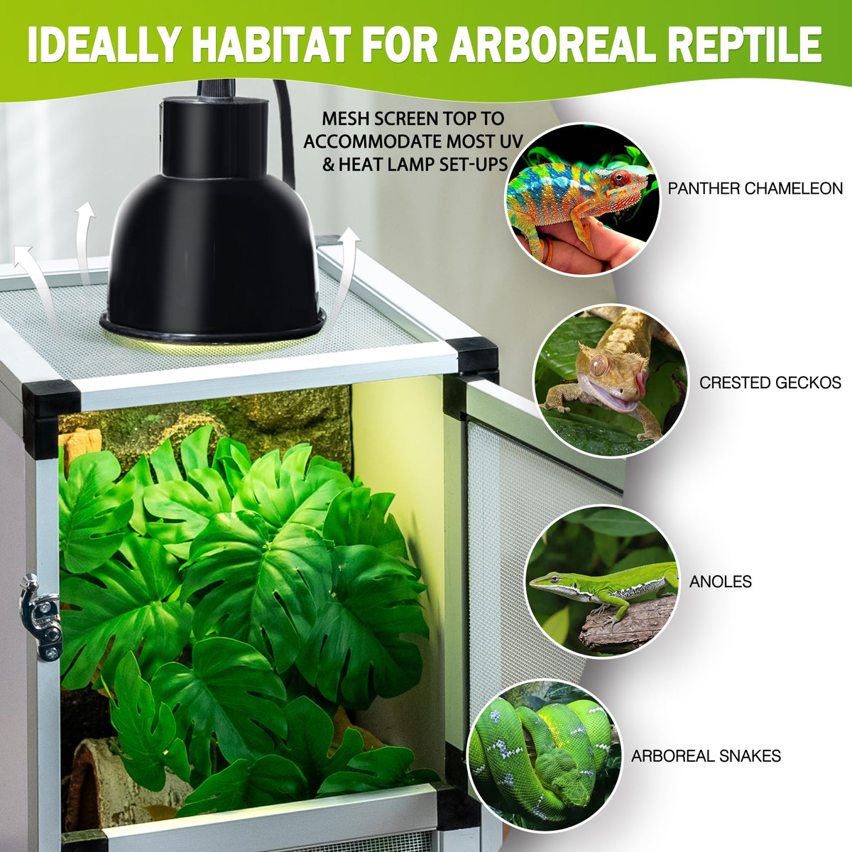 PVC Habitat Enclosure with Screen & Acrylic Doors, 12"x12"x18" Reptile Terrarium Y535708
