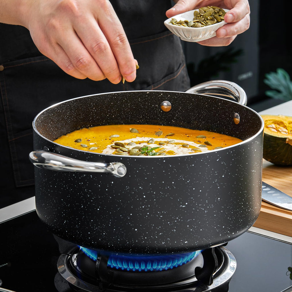 6 Quart Nonstick Stock Pot with Lid Z8053