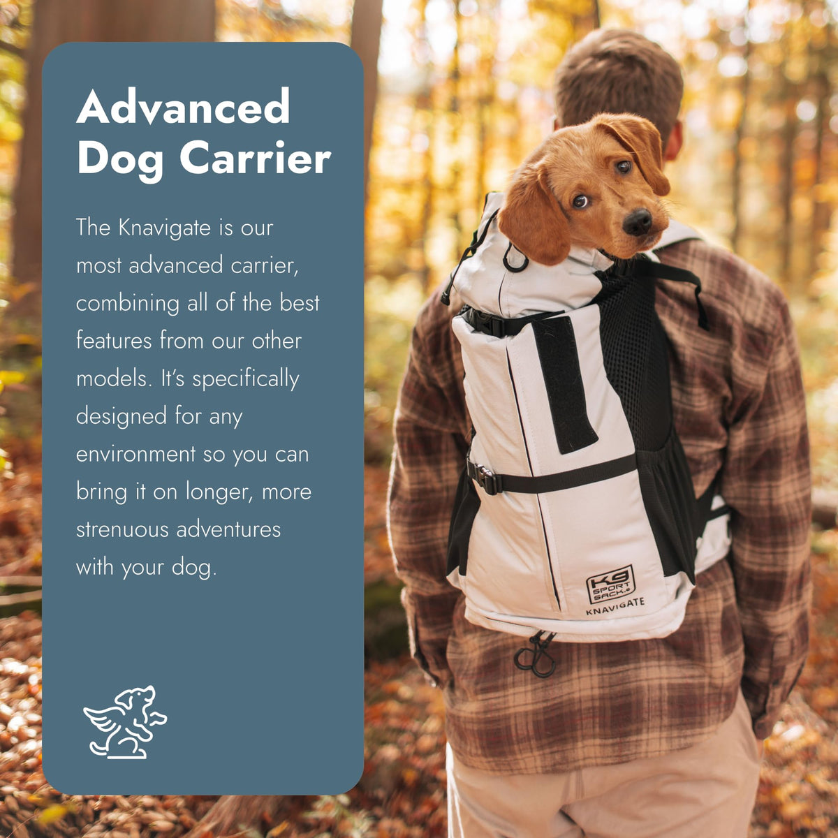 X-Large Dog Carrier U2248