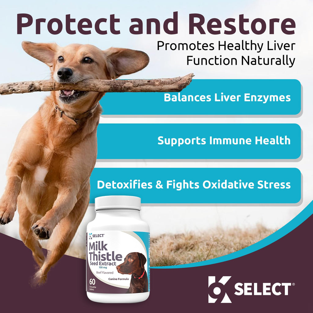 Milk Thistle Liver Support 60 Beef Chewable Tablets W653
