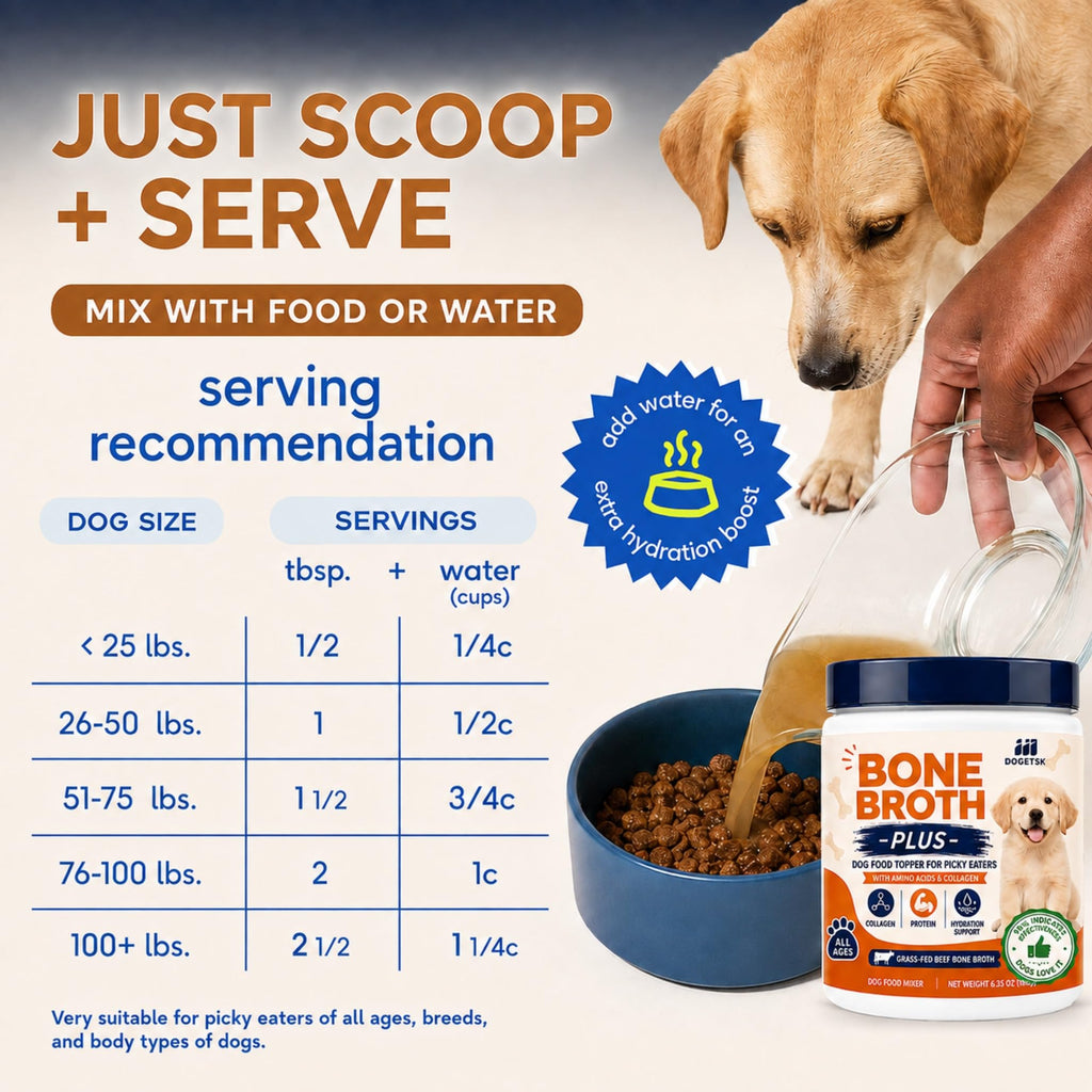 Beef Bone Soup Dog Supplement with Collagen and Protein Z198857